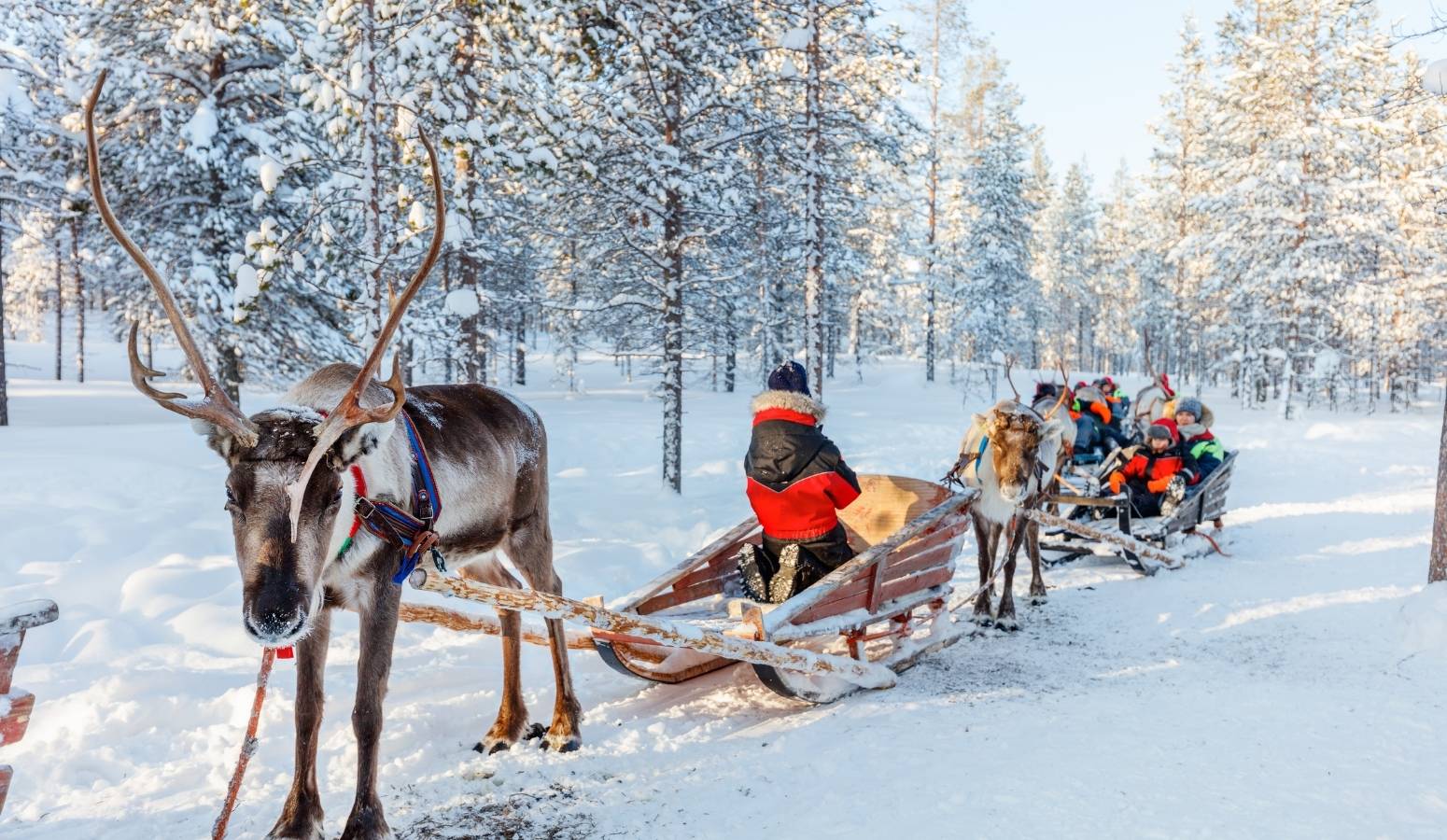 trip-to-lapland-rukan-salonki in Family